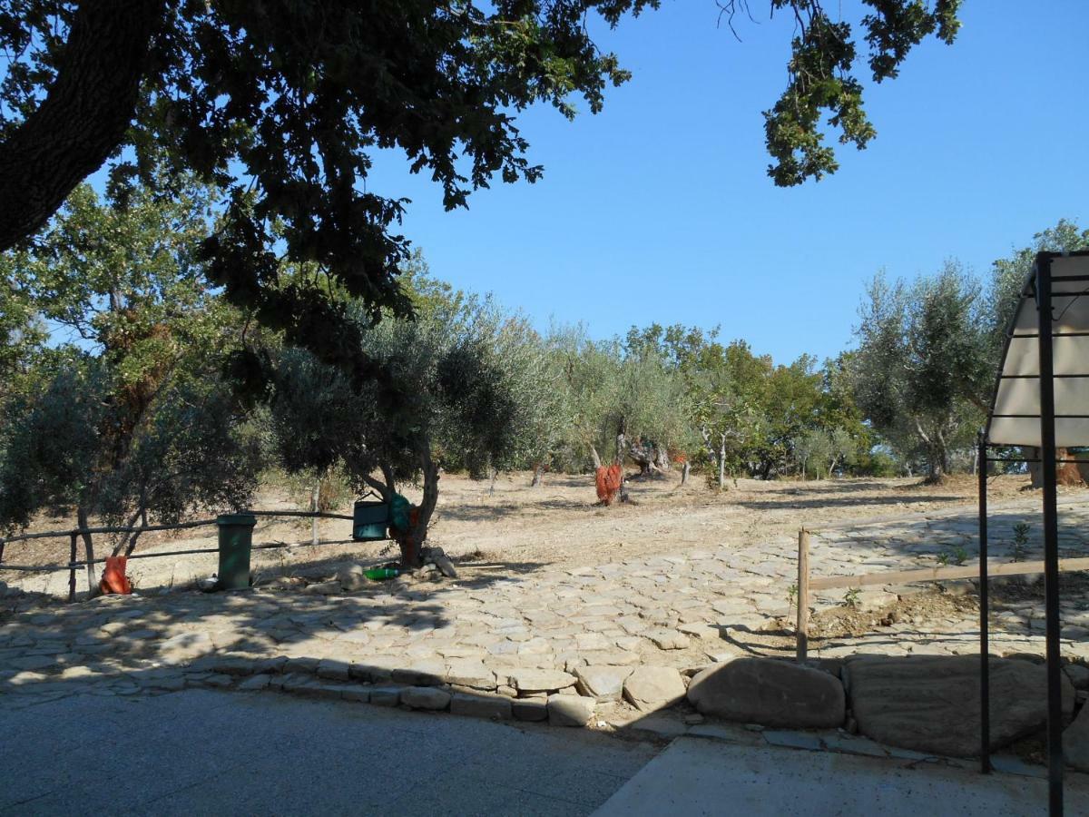 Podere La Starza